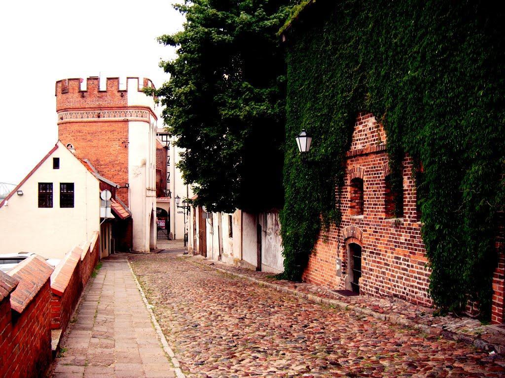 Apartament Pod Kopernikiem II Stary Toruń Exterior foto